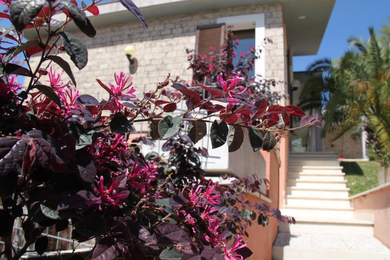 הוילה טרני Villino Con Piscina מראה חיצוני תמונה