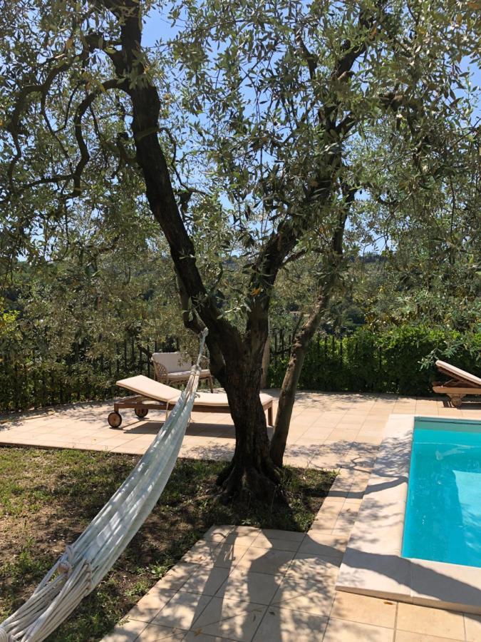 הוילה טרני Villino Con Piscina מראה חיצוני תמונה